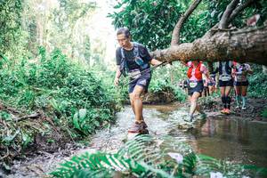 BIB: 
                            <button type="button" onclick="openModal(25477530)" class="btn btn-primary btn-sm float-right btn-popup" data-toggle="modal" data-target=".modal-high-quality">
                        <i class="fas fa-shopping-cart"></i> Add to Cart
                    </button>
                                            <button type="button" onclick="isThisMe(25477530, true)" class="btn btn-success btn-sm float-right btn-popup btn-isme hidden" data-toggle="tooltip" data-placement="bottom" title="นี่คือรูปของคุณใช่ไหม คลิกที่นี่เพื่อเอาเข้าอัลบั้ม">
                        <i class="fas fa-plus"></i> Add to album
                    </button>
                    <button type="button" onclick="isThisMe(25477530, false)" class="btn btn-warning btn-sm float-right btn-popup btn-isnotme hidden">
                        <i class="fas fa-ban"></i> Remove from album
                    </button>